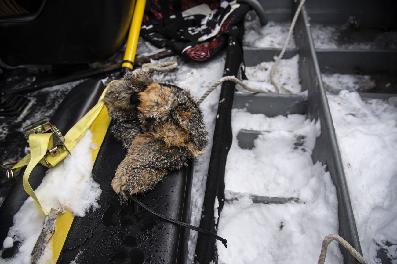 Airboat driver shows will to survive